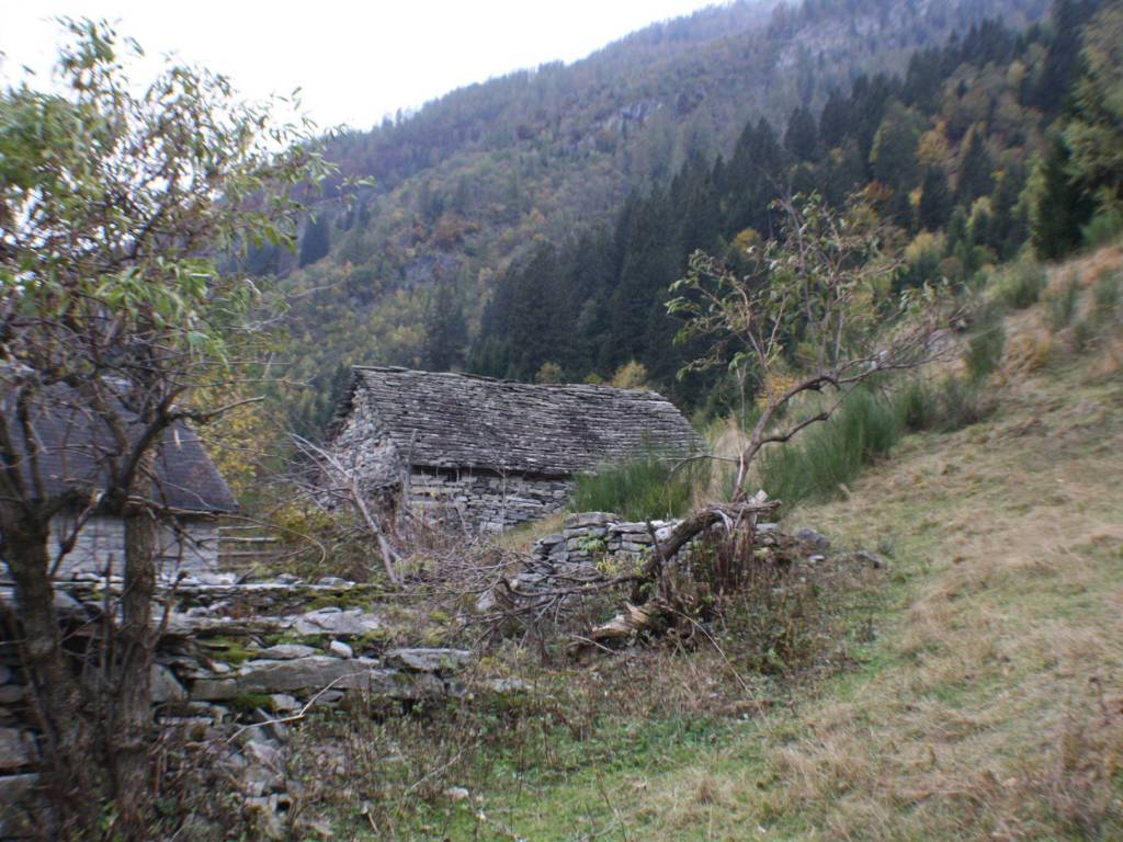 Rustico / casale a Montecrestese - Foto 2