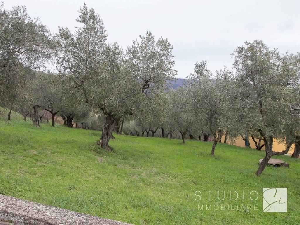 Rustico / casale a Pistoia in Via del Chiassone - Foto 4