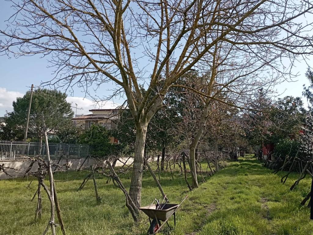 Terreno a Benevento in Contrada Piano Morra - Foto 2