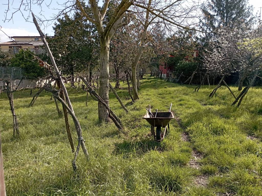Terreno a Benevento in Contrada Piano Morra - Foto 3