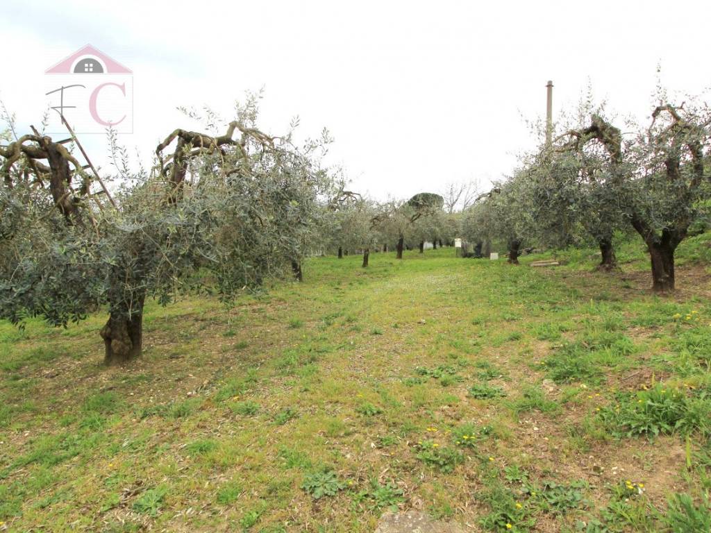 Terreno a Narni in Strada Morellino, 13 - Foto 2