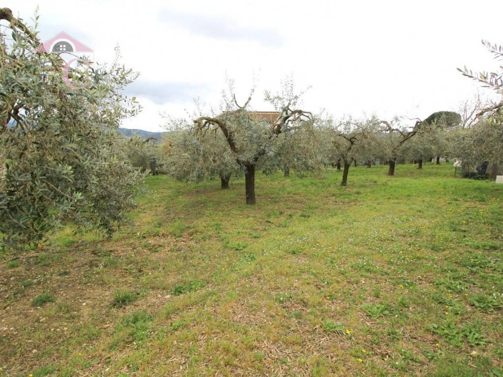 Terreno a Narni in Strada Morellino, 13 - Foto 3