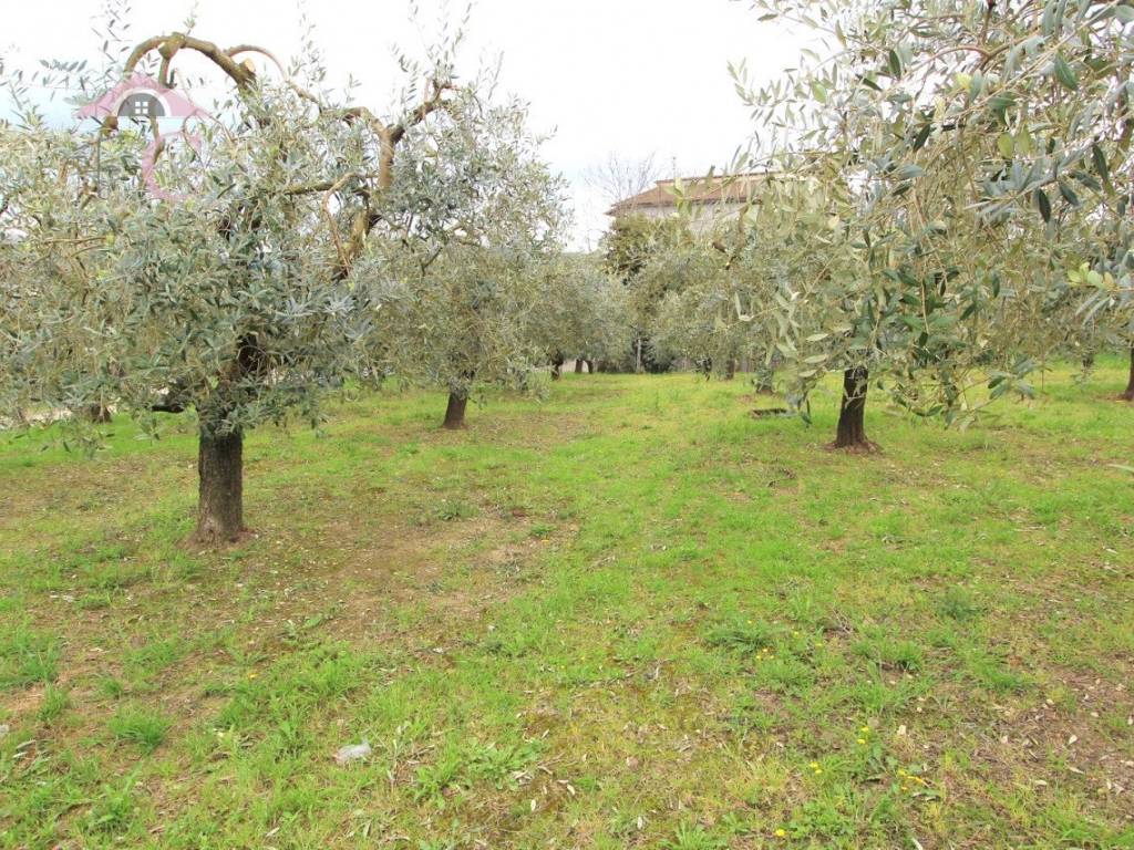 Terreno a Narni in Strada Morellino, 13 - Foto 4