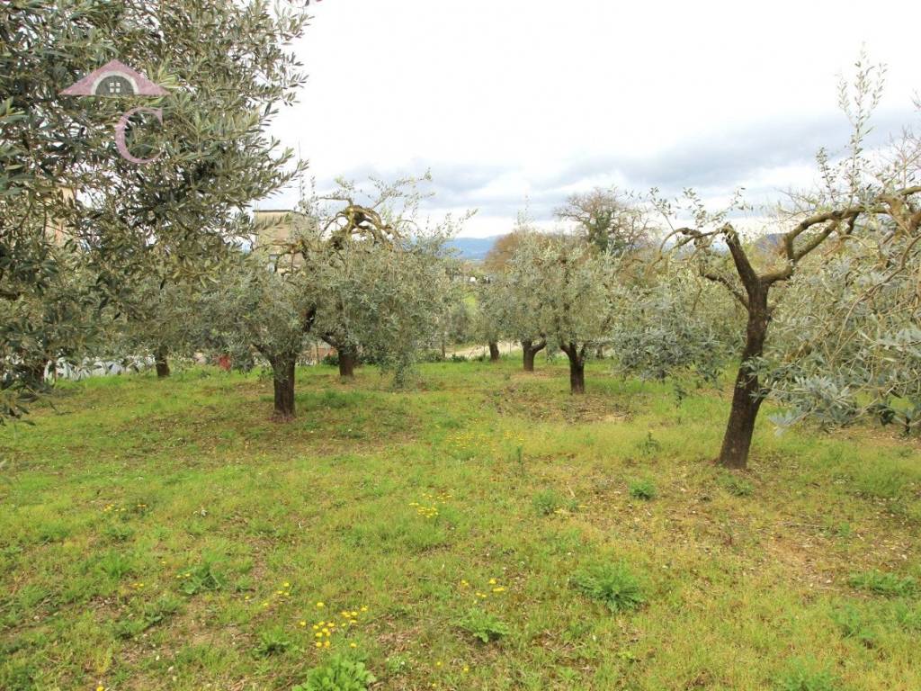 Terreno a Narni in Strada Morellino, 13 - Foto 5