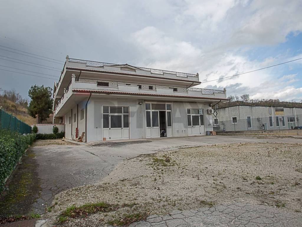 immagine di copertina