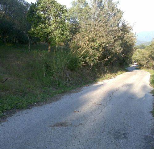 Terreno a Omignano - Foto 2