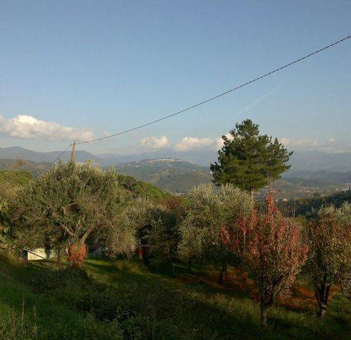 Terreno a Omignano - Foto 5