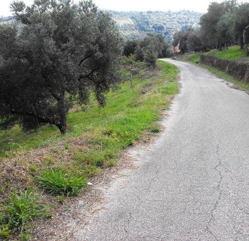 Terreno a Stella cilento - Foto 2