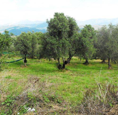 Terreno a Stella cilento - Foto 4