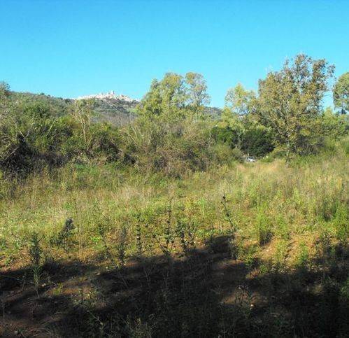 Terreno a Castelnuovo cilento - Foto 4
