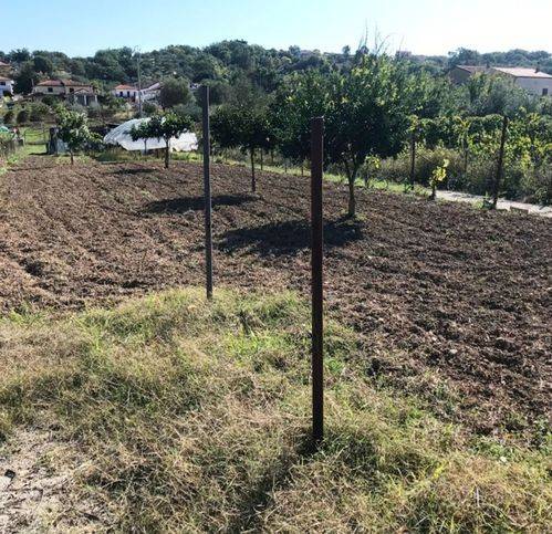 Terreno a Castelnuovo cilento - Foto 2