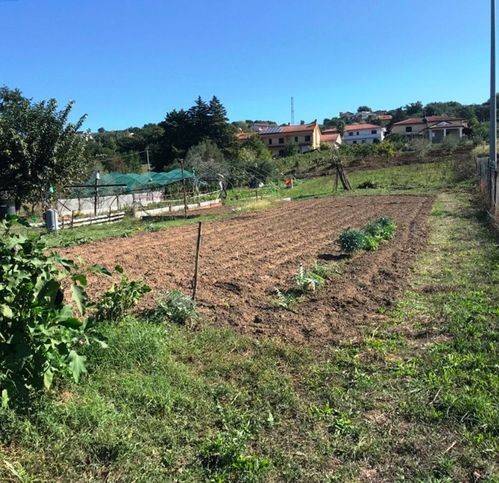 Terreno a Castelnuovo cilento - Foto 3