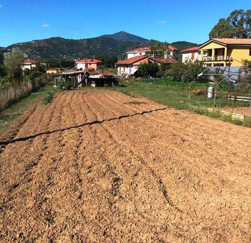 Terreno a Castelnuovo cilento - Foto 5