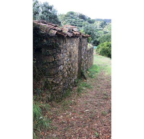 Rustico / casale a Casal velino - Foto 5