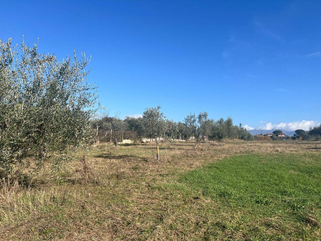 Terreno a Zagarolo in Località Collemozzo - Foto 3