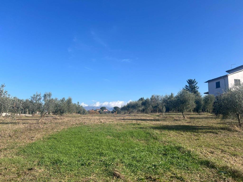 Terreno a Zagarolo in Località Collemozzo - Foto 4