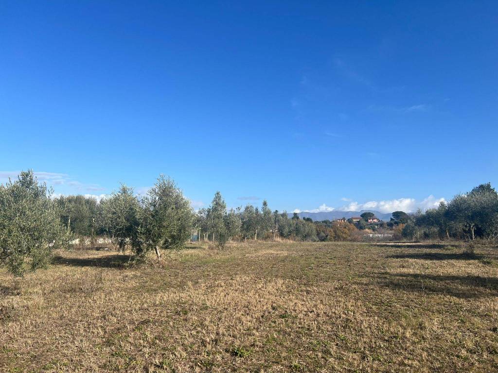 Terreno a Zagarolo in Località Collemozzo - Foto 5