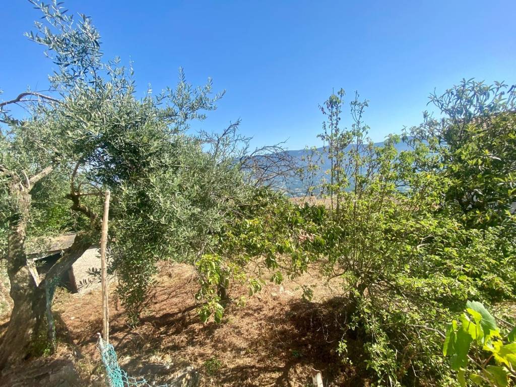 Casa indipendente a Prossedi in Via Vittorio Emanuele III, 16 - Foto 2