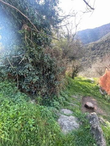 Terreno a Avegno in Via dei Torchi, 15 - Foto 3