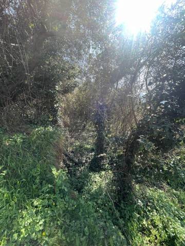 Terreno a Avegno in Via dei Torchi, 15 - Foto 4