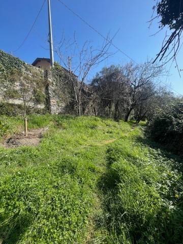 Terreno a Avegno in Via dei Torchi, 15 - Foto 5