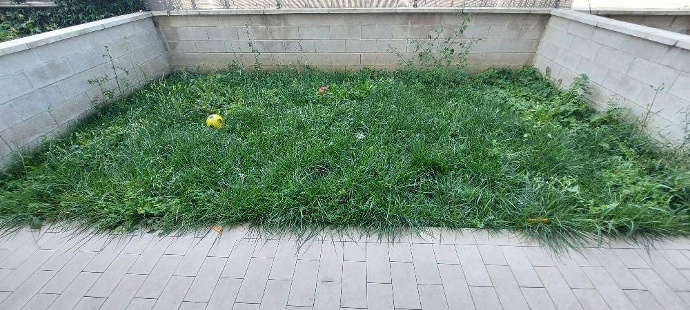 Villetta a schiera a Pistoia - Foto 5