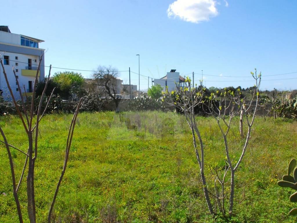 Terreno a Salve in Via Roma, 416 - Foto 5
