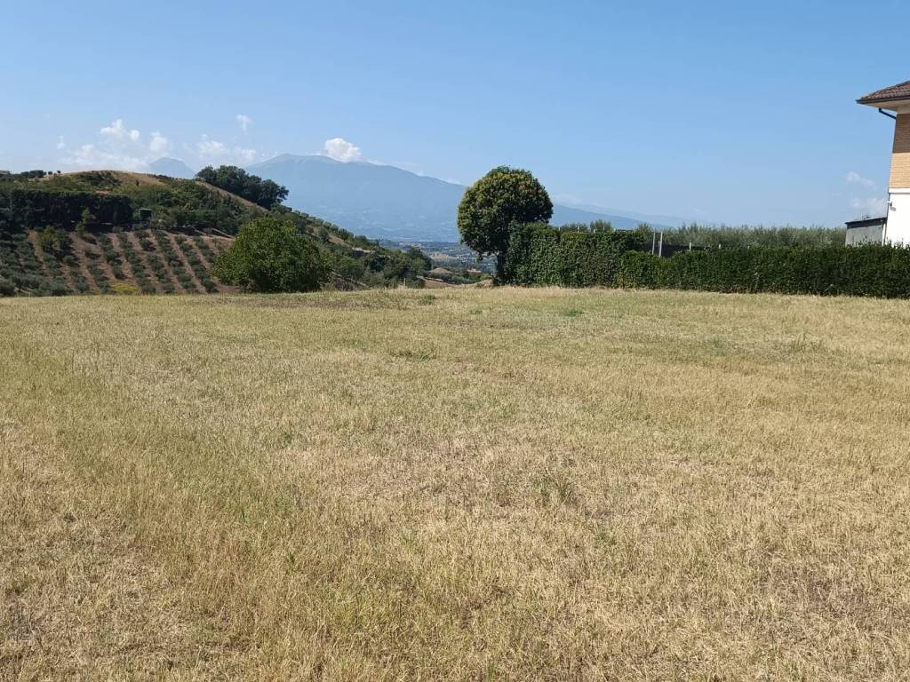 Terreno a Castorano in strada provinciale 18 - Foto 2