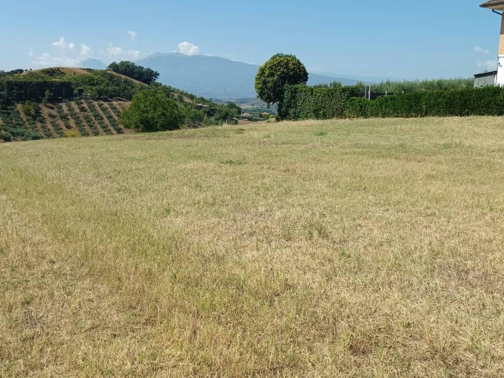 Terreno a Castorano in strada provinciale 18 - Foto 3
