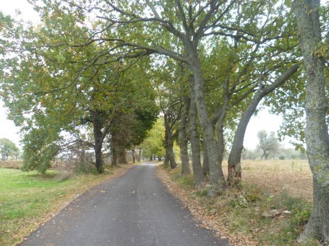 Terreno a Lanciano - Foto 5