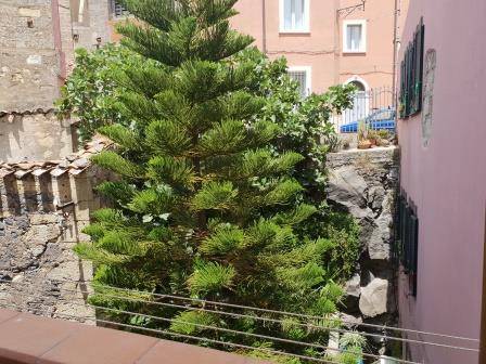 Casa indipendente a Cuglieri in Via del Portico - Foto 3