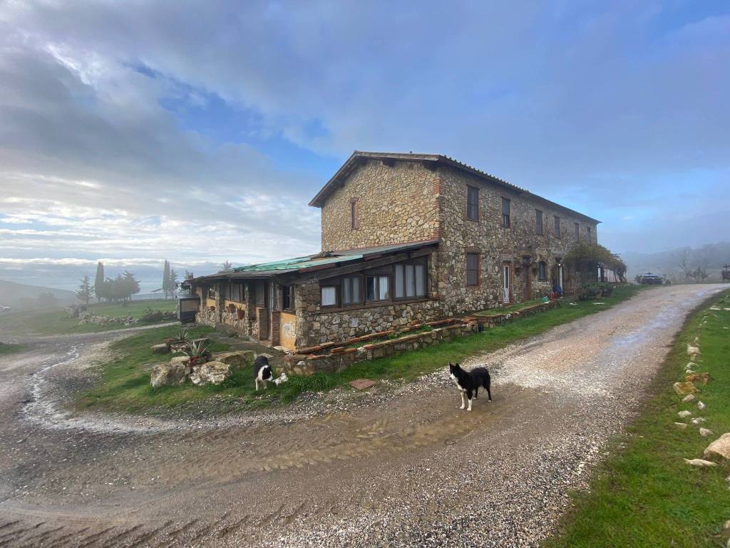 Rustico / casale a Rosignano marittimo - Foto 2