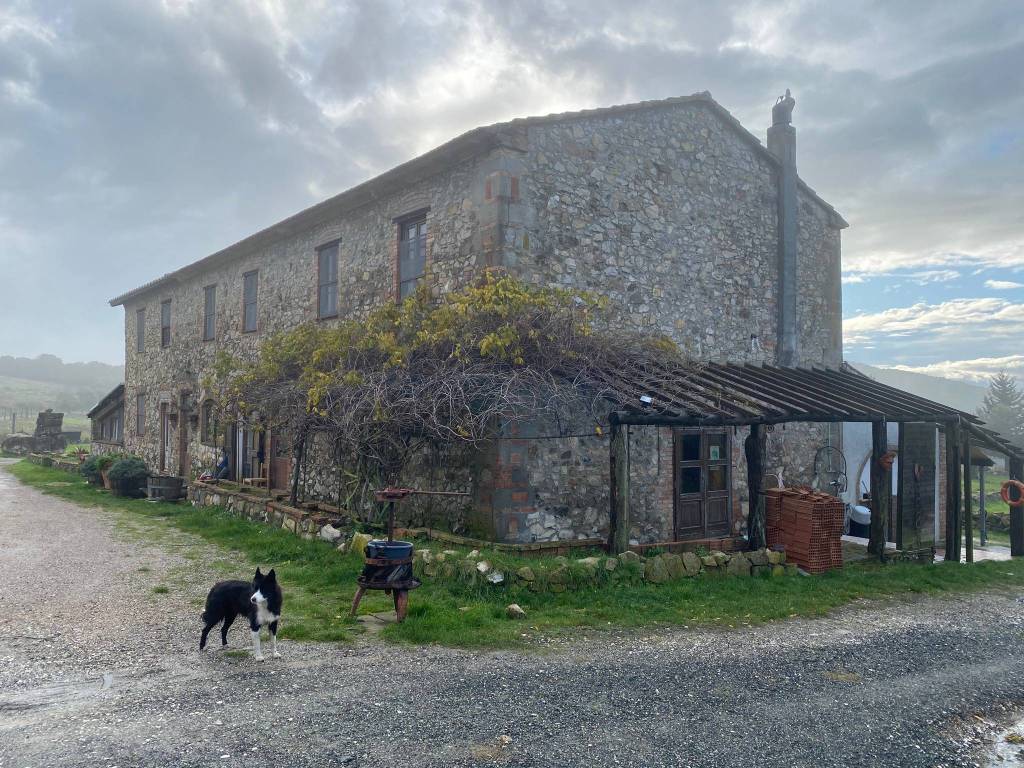 Rustico / casale a Rosignano marittimo - Foto 4