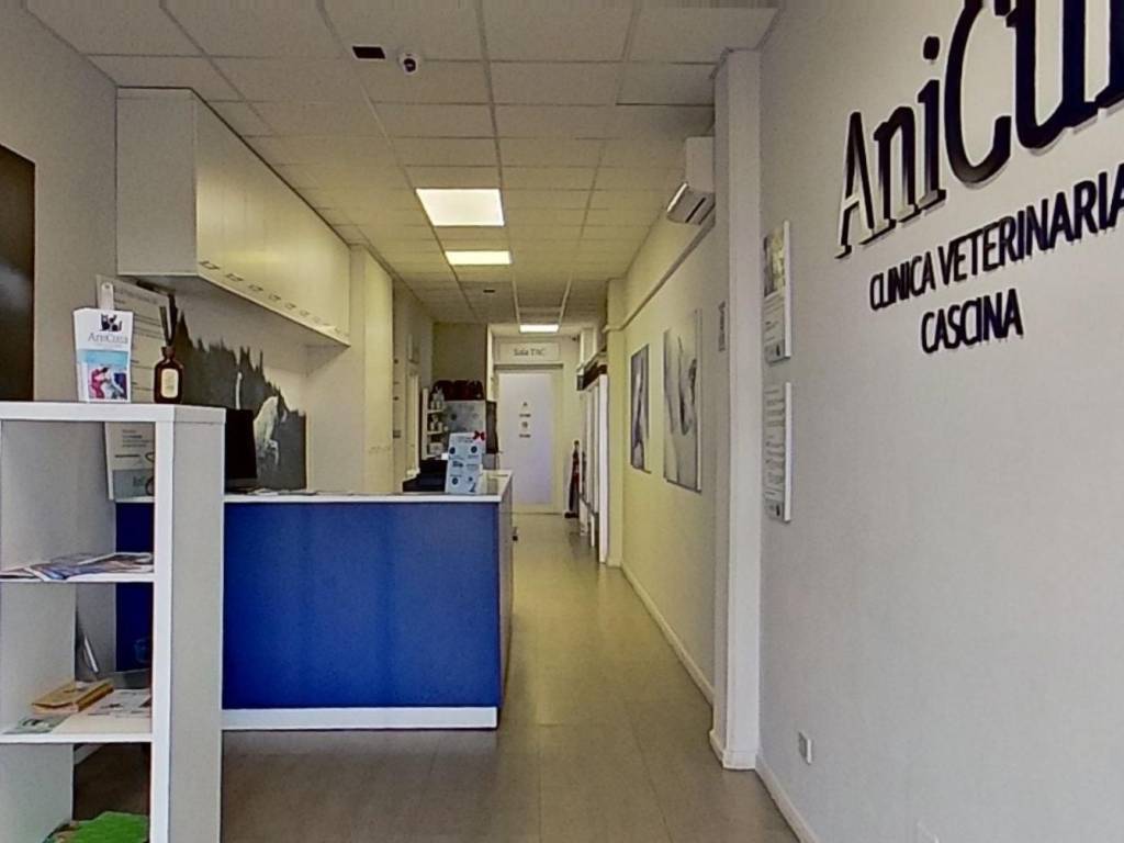Immobile a Calcinaia in Via Tosco Romagnola, 338 - Foto 3