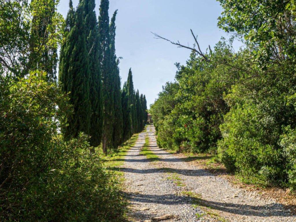 Rustico / casale a Monterotondo marittimo in Strada Comunale della Miniera - Foto 4