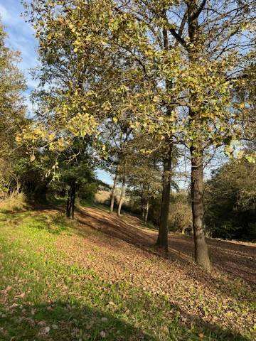Terreno a Asti in Località Valmanera - Foto 2