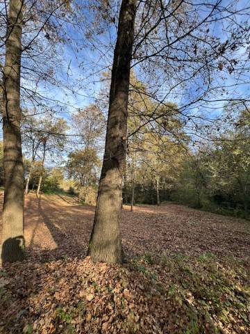 Terreno a Asti in Località Valmanera - Foto 5