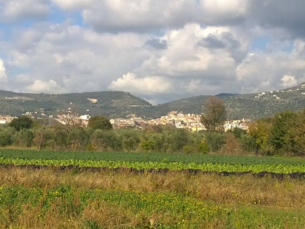 Terreno a Eboli in Via Acqua Dei Pioppi S.N.C. - Foto 3