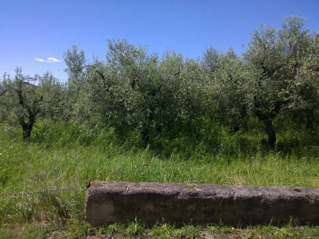 Terreno a Eboli in Via Alessandro Volta S.N.C. - Foto 2