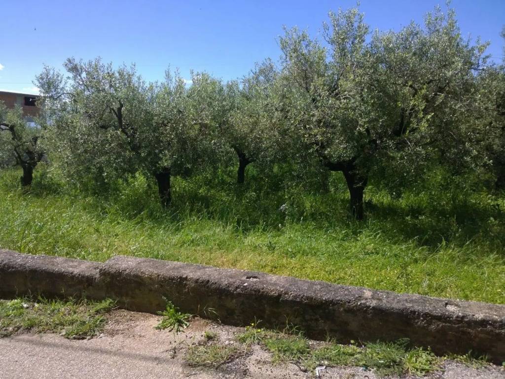 Terreno a Eboli in Via Alessandro Volta S.N.C. - Foto 3