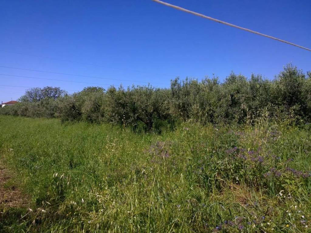Terreno a Eboli in Via Alessandro Volta S.N.C. - Foto 4