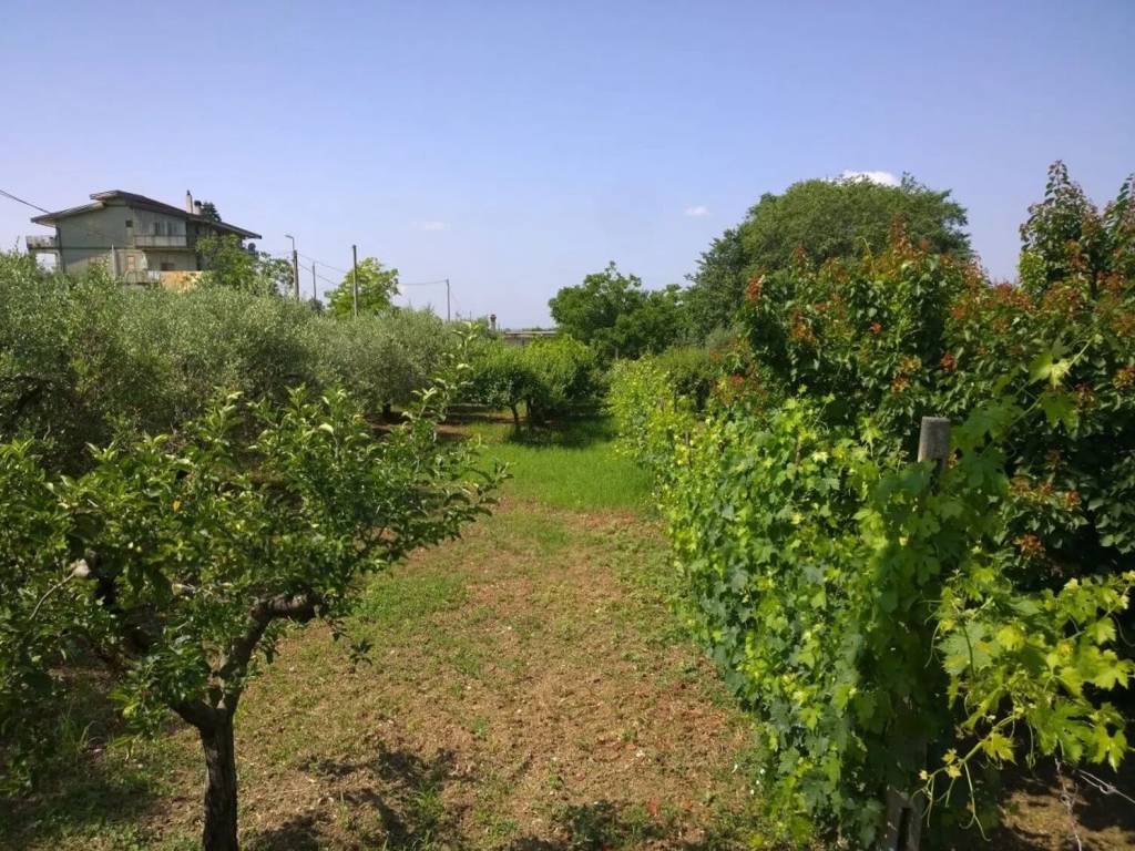 Terreno a Eboli in Via Delle Sorgenti S.N.C. - Foto 2