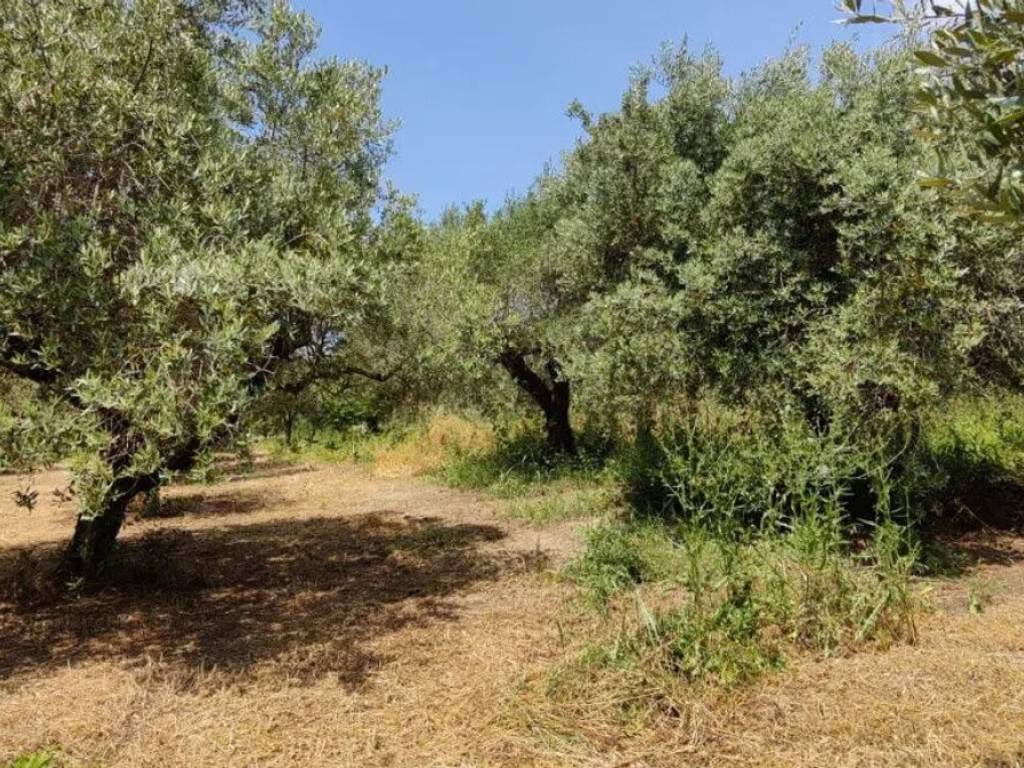 Terreno a Eboli in Via Papaleone - Foto 2