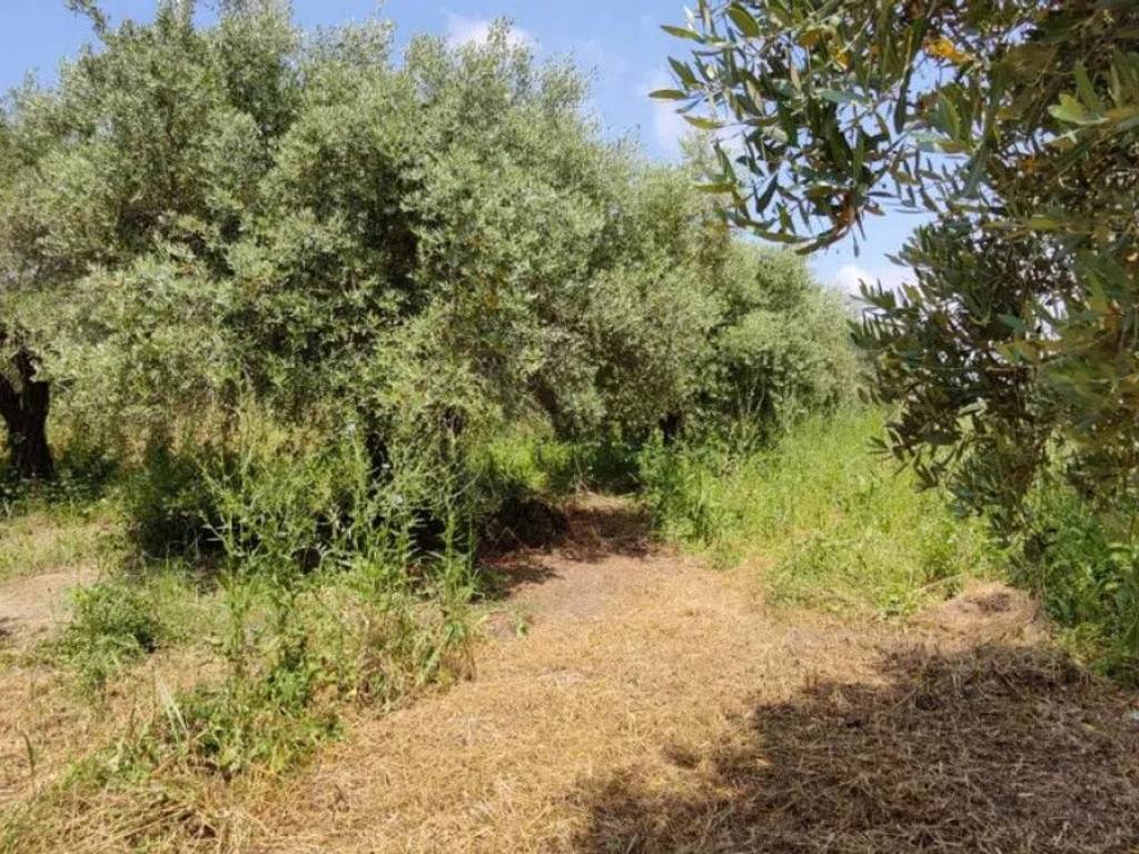 Terreno a Eboli in Via Papaleone - Foto 3