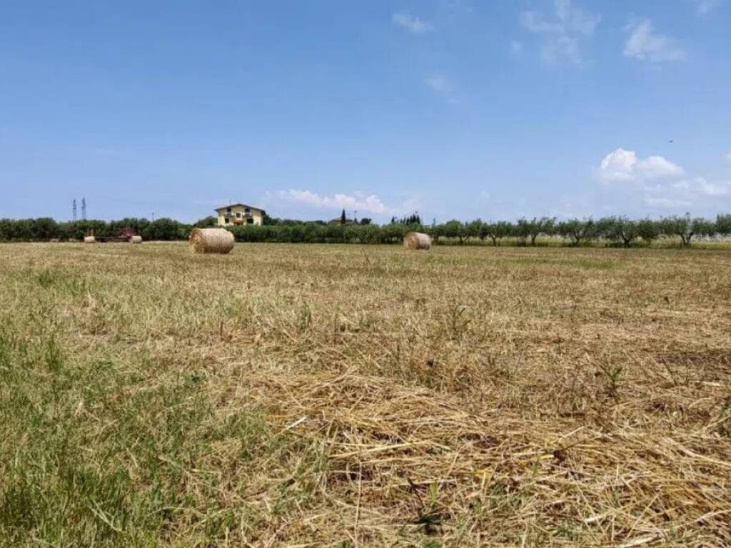 Terreno a Eboli in Via Papaleone - Foto 4