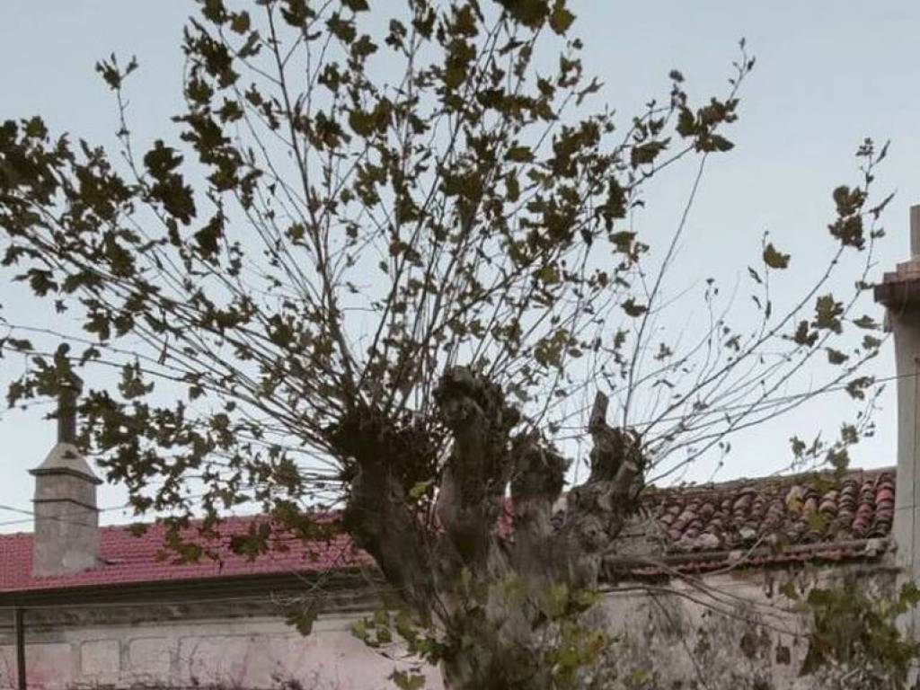 Rustico / casale a Sicignano degli alburni in Via Balconi - Foto 2