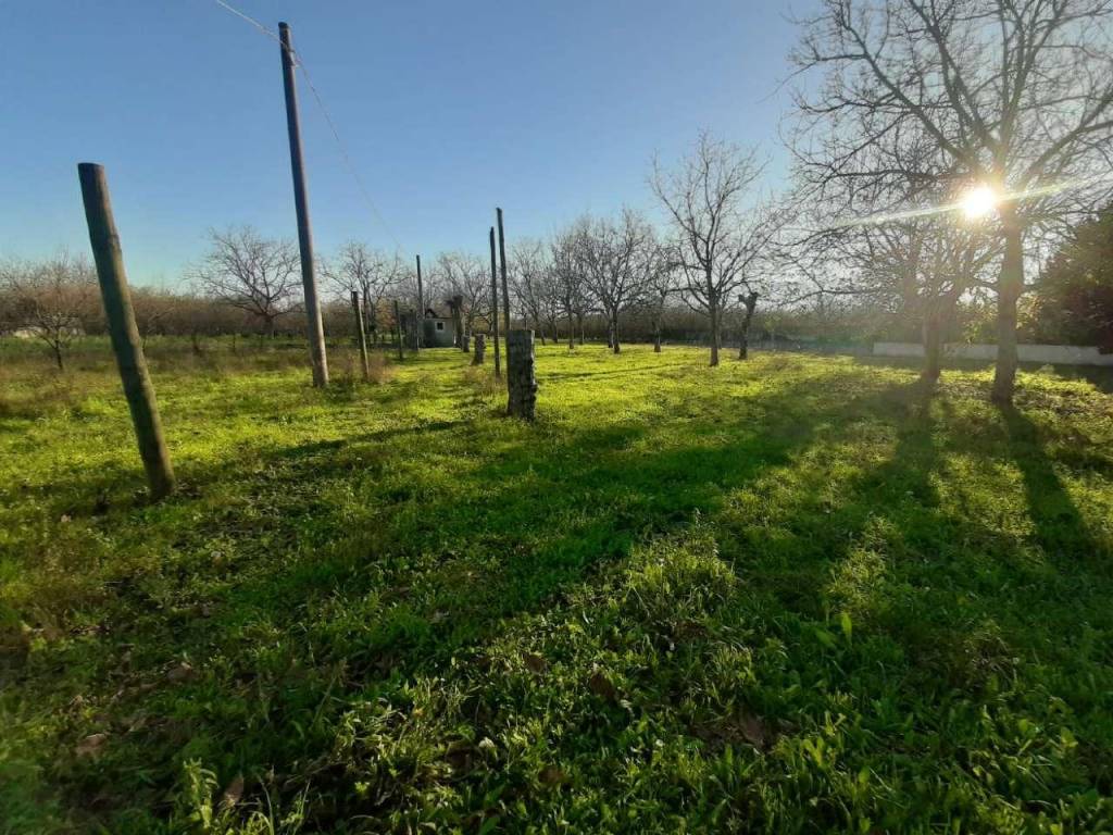Terreno a San vitaliano in via selva SNC - Foto 2