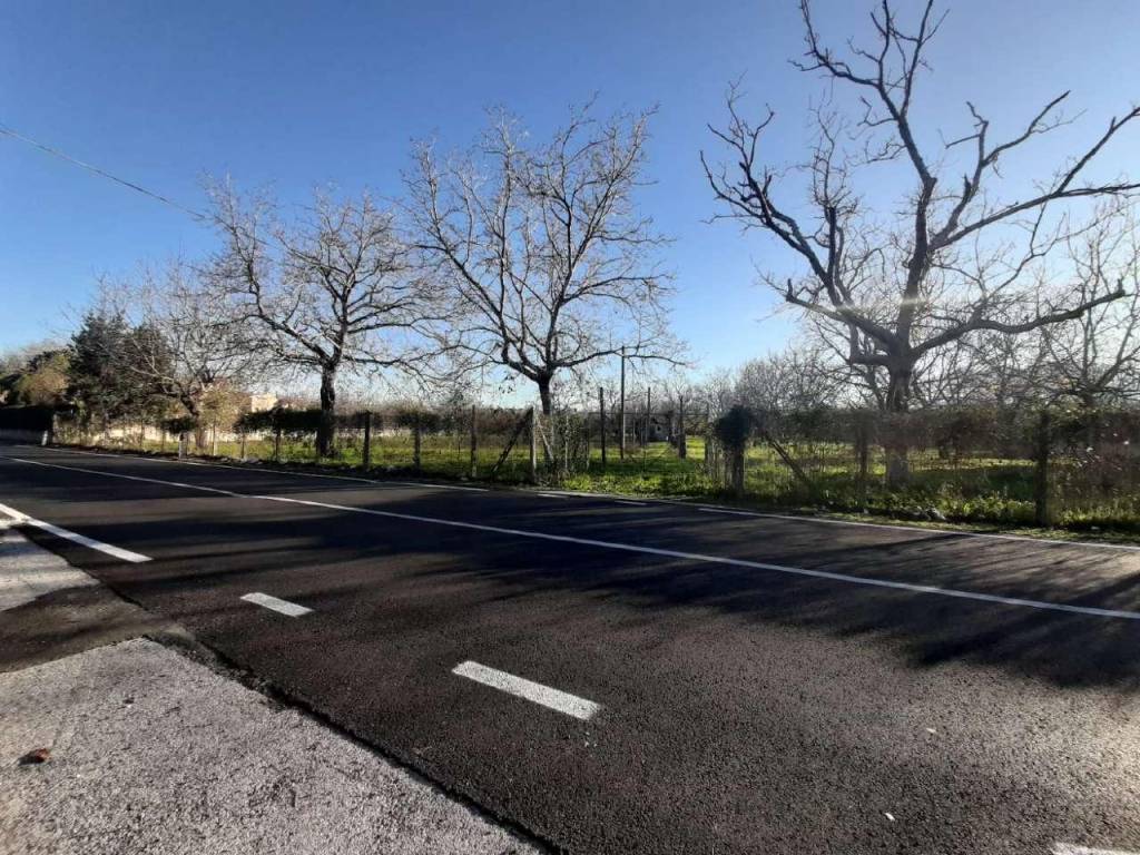 Terreno a San vitaliano in via selva SNC - Foto 3