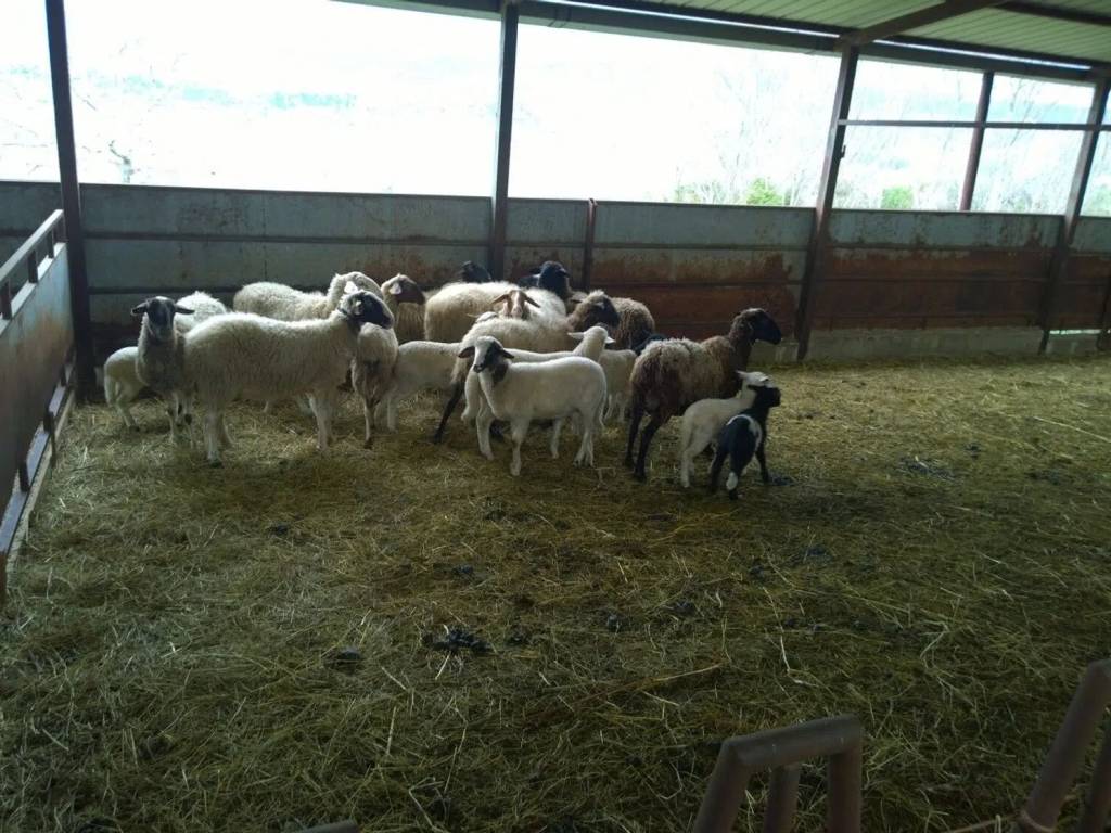 Villa a Serre in Piazza Vittorio Veneto - Foto 4