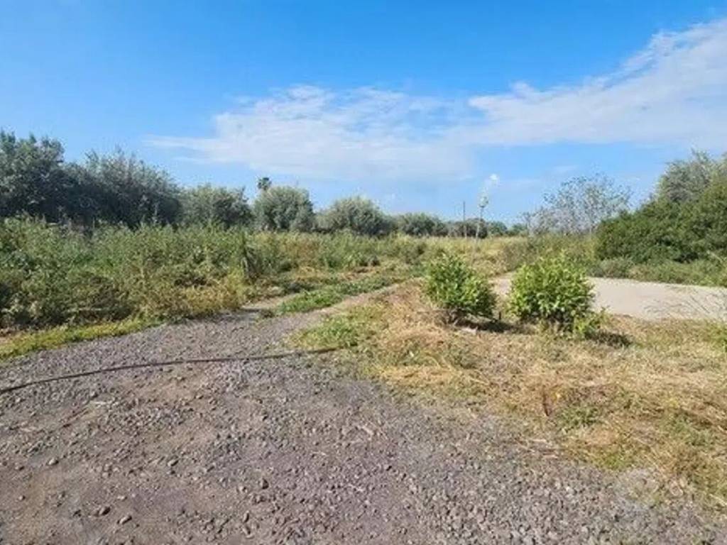 Terreno a Belpasso - Foto 5